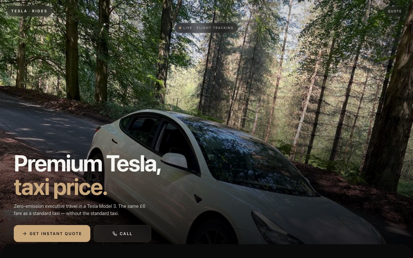 TeslaRides website screenshot